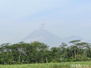 Gunung Semeru 2 Kali Erupsi, Abu Vulkanik Membubung 800 Meter