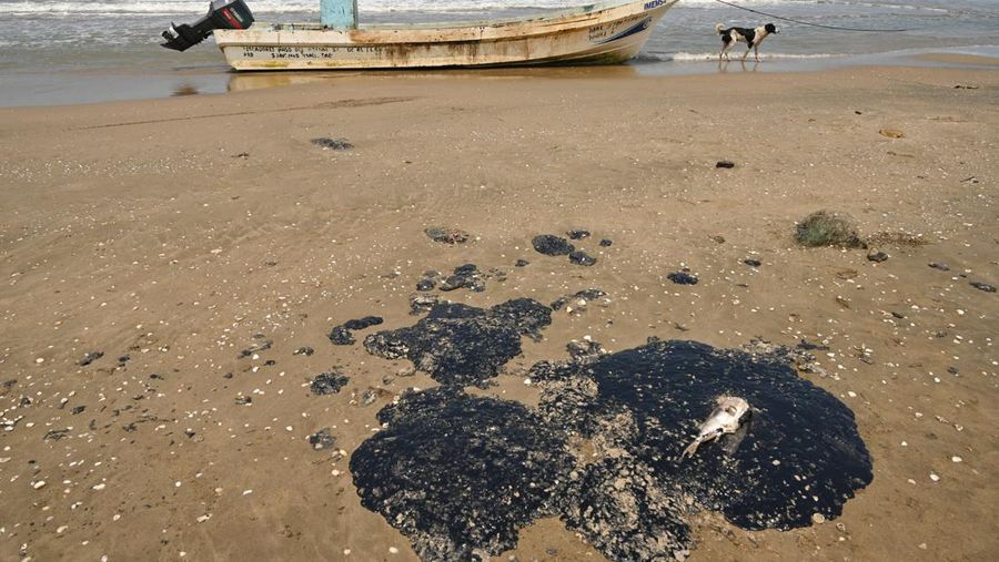 Para nelayan berdiri di dekat jaring ikan yang ternoda minyak akibat tumpahan minyak yang telah memengaruhi nelayan dan berbagai komunitas pesisir di Paylebot, negara bagian Tabasco, Meksiko, 22 Maret 2026. (REUTERS/Luis Manuel Lopez)
