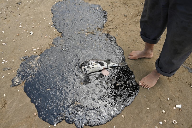 Para nelayan berdiri di dekat jaring ikan yang ternoda minyak akibat tumpahan minyak yang telah memengaruhi nelayan dan berbagai komunitas pesisir di Paylebot, negara bagian Tabasco, Meksiko, 22 Maret 2026. (REUTERS/Luis Manuel Lopez)