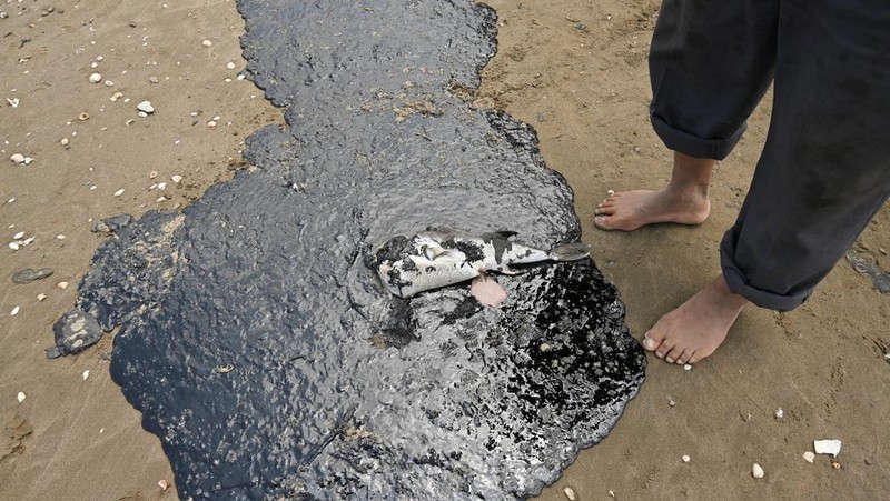 Para nelayan berdiri di dekat jaring ikan yang ternoda minyak akibat tumpahan minyak yang telah memengaruhi nelayan dan berbagai komunitas pesisir di Paylebot, negara bagian Tabasco, Meksiko, 22 Maret 2026. (REUTERS/Luis Manuel Lopez)