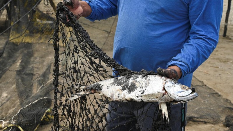 Para nelayan berdiri di dekat jaring ikan yang ternoda minyak akibat tumpahan minyak yang telah memengaruhi nelayan dan berbagai komunitas pesisir di Paylebot, negara bagian Tabasco, Meksiko, 22 Maret 2026. (REUTERS/Luis Manuel Lopez)