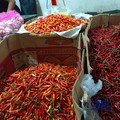Cuaca Mulai Panas, Pedagang Sembako Ungkap Efeknya ke Harga Cabai