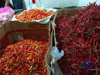 Cuaca Mulai Panas, Pedagang Sembako Ungkap Efeknya ke Harga Cabai