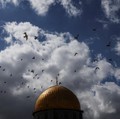 Burung-burung terbang melewati Kubah Batu pada hari umat Muslim melaksanakan salat Jumat selama bulan puasa suci Ramadhan di kompleks Al-Aqsa, yang juga dikenal oleh orang Yahudi sebagai Bukit Bait Suci, di Kota Tua Yerusalem, 27 Februari 2026. (REUT