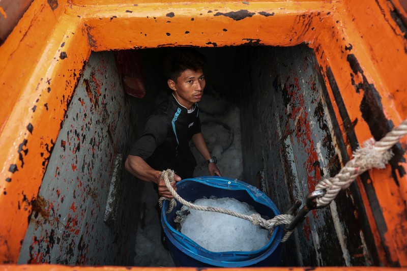 Fishermen transfer a container of catch from a trawler to a truck at a pier, as rising diesel prices have left many trawlers docked due to unprofitable operations, in Samut Sakhon province, Thailand, March 25, 2026, REUTERS/Chalinee Thirasupa     TPX IMAGES OF THE DAY