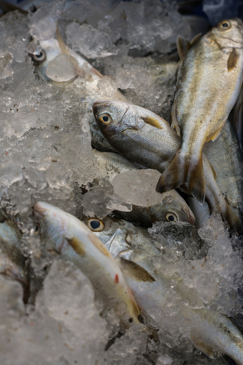 Fishermen transfer a container of catch from a trawler to a truck at a pier, as rising diesel prices have left many trawlers docked due to unprofitable operations, in Samut Sakhon province, Thailand, March 25, 2026, REUTERS/Chalinee Thirasupa     TPX IMAGES OF THE DAY