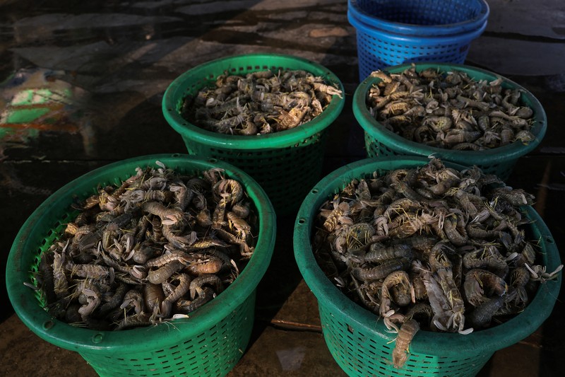 Fishermen transfer a container of catch from a trawler to a truck at a pier, as rising diesel prices have left many trawlers docked due to unprofitable operations, in Samut Sakhon province, Thailand, March 25, 2026, REUTERS/Chalinee Thirasupa     TPX IMAGES OF THE DAY