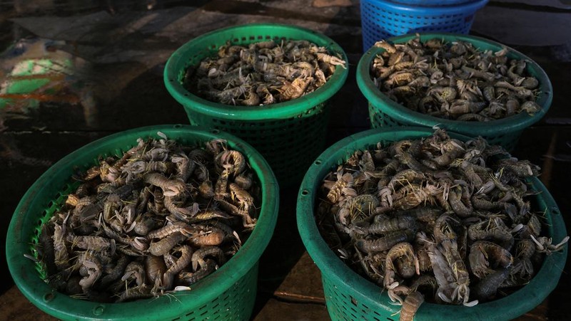 Fishermen transfer a container of catch from a trawler to a truck at a pier, as rising diesel prices have left many trawlers docked due to unprofitable operations, in Samut Sakhon province, Thailand, March 25, 2026, REUTERS/Chalinee Thirasupa     TPX IMAGES OF THE DAY