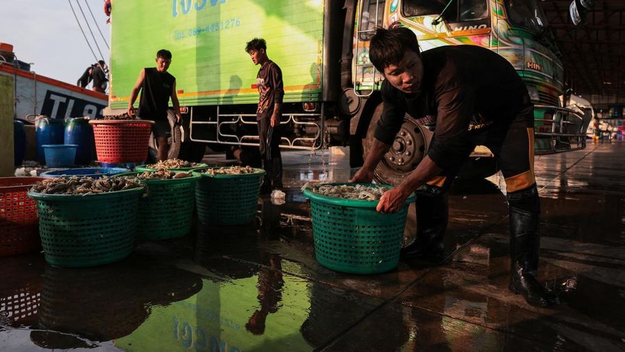 Fishermen transfer a container of catch from a trawler to a truck at a pier, as rising diesel prices have left many trawlers docked due to unprofitable operations, in Samut Sakhon province, Thailand, March 25, 2026, REUTERS/Chalinee Thirasupa     TPX IMAGES OF THE DAY
