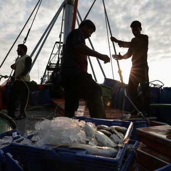 Perang Bikin Pusing, Harga Solar Naik-Nelayan Terancam Berhenti Melaut