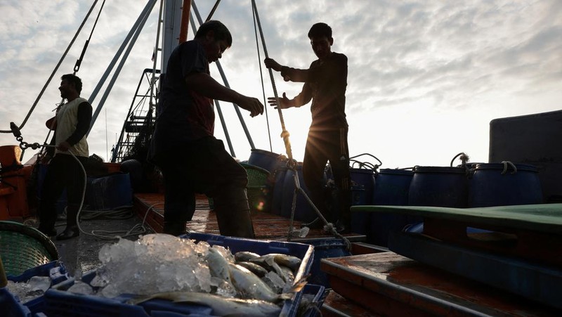 Fishermen transfer a container of catch from a trawler to a truck at a pier, as rising diesel prices have left many trawlers docked due to unprofitable operations, in Samut Sakhon province, Thailand, March 25, 2026, REUTERS/Chalinee Thirasupa     TPX IMAGES OF THE DAY