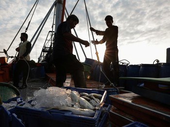 Perang Bikin Pusing, Harga Solar Naik-Nelayan Terancam Berhenti Melaut