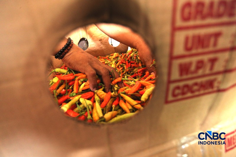 Pekerja melakukan bongkar muat cabai rawit merah di Pasar Kramat Jati, Jakarta, Kamis (26/3/2026). (CNBC Indonesia/Tri Susilo)