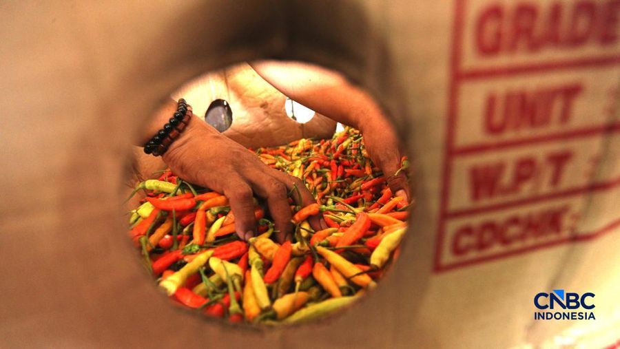 Pekerja melakukan bongkar muat cabai rawit merah di Pasar Kramat Jati, Jakarta, Kamis (26/3/2026). (CNBC Indonesia/Tri Susilo)