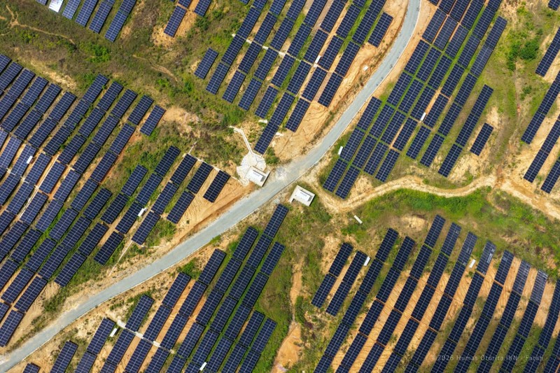 PLTS 50 MW yang terpasang di Ibu Kota Nusantara (IKN). (Dok. Humas Otorita IKN)