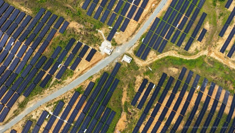 PLTS 50 MW yang terpasang di Ibu Kota Nusantara (IKN). (Dok. Humas Otorita IKN)