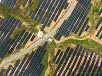 PLTS 50 MW yang terpasang di Ibu Kota Nusantara (IKN). (Dok. Humas Otorita IKN)