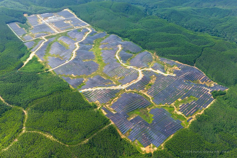 PLTS 50 MW yang terpasang di Ibu Kota Nusantara (IKN). (Dok. Humas Otorita IKN)