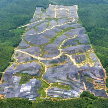 IKN Punya PLTS Raksasa Membelah Hutan, Penampakannya Tak Terduga