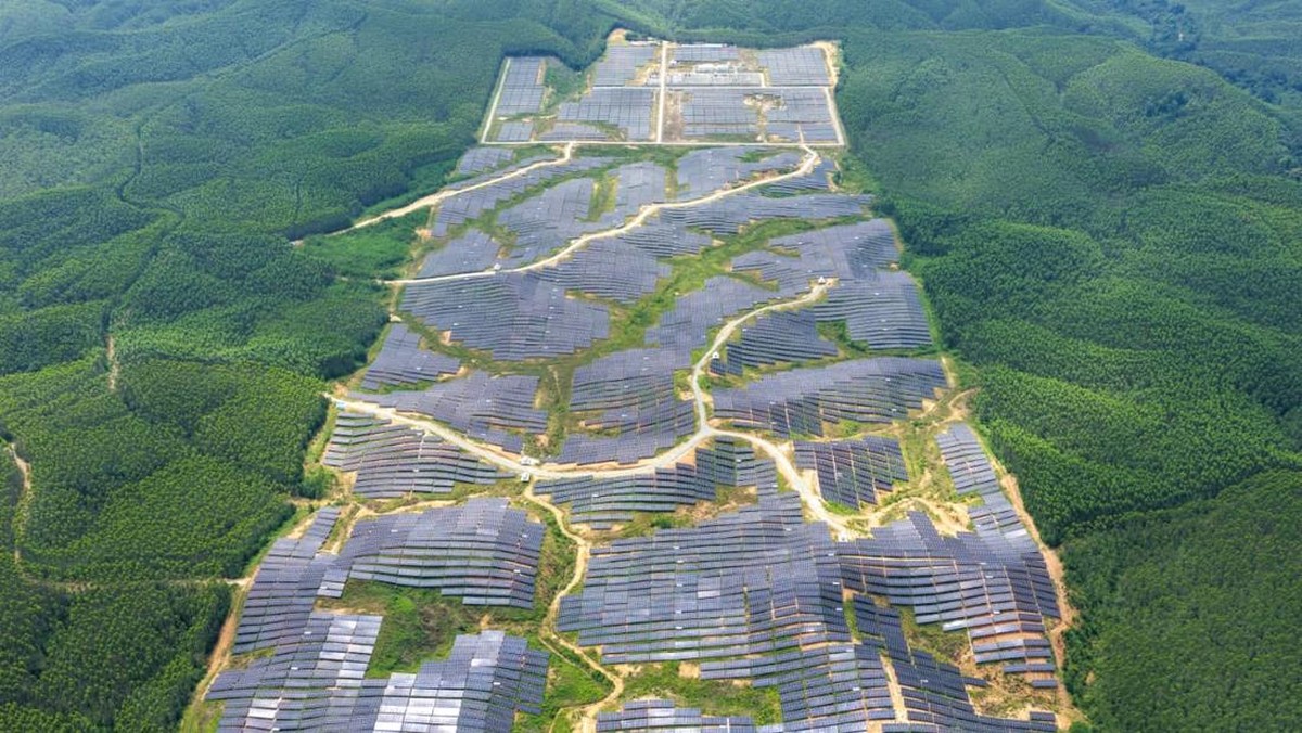 IKN Punya PLTS Raksasa Membelah Hutan, Penampakannya Tak Terduga