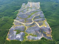 IKN Punya PLTS Raksasa Membelah Hutan, Penampakannya Tak Terduga