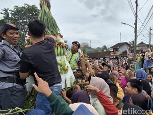 Serunya Warga Boja Kendal Berebut Gunungan di Kirab Syawalan