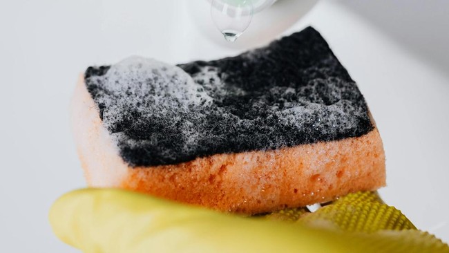 Studi Ungkap Spons Cuci Piring Jadi Sumber Mikroplastik Masuk Tubuh