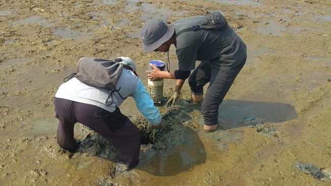 Hadapi Suhu Panas Mendidih, Amran Umumkan Kabar Penting Ini ke Petani