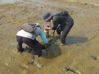 Hadapi Suhu Panas Mendidih, Amran Umumkan Kabar Penting Ini ke Petani