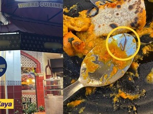 Sudah Lapor, Tak Ditindak! Kasus Kaki Kecoak di Restoran Jadi Sorotan