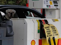 Potret BBM di SPBU Negara Tetangga Kaya RI Kosong Imbas Perang AS-Iran