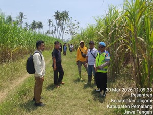 Temuan Kerangka Manusia di Kebun Tebu Gegerkan Warga Pemalang