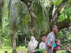 Viral Heboh Kebun Binatang Mini di Pernikahan, Tamu Bisa Foto Bareng Hewan