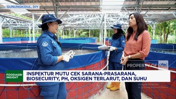 Video: Komitmen Badan Mutu KKP Mengawal Kualitas Produk Perikanan