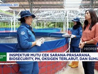 Video: Komitmen Badan Mutu KKP Mengawal Kualitas Produk Perikanan