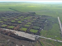 RI Bangun Tambak Udang Raksasa Seukuran 2.150 Lapangan Bola di Sini