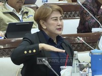 Bos Damri Ngadu ke DPR Punya Bus Perintis Mayoritas Berusia Tua