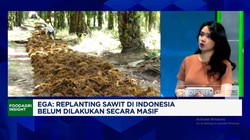 Video: Prabowo Mau B50, Ini Efeknya ke Industri Sawit & Ekspor CPO RI