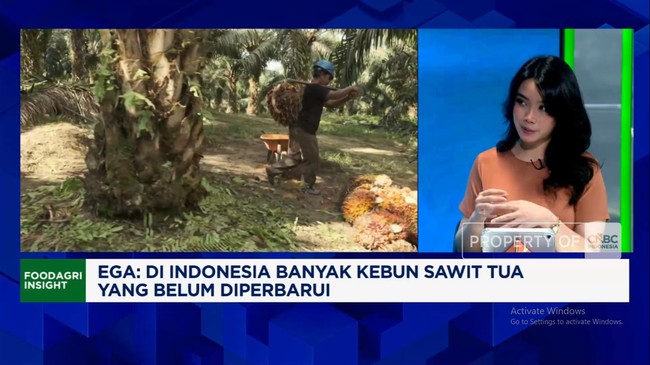Video: "Uji Nyali" B50 di Tengah Ancaman Krisis Pasokan Energi Global