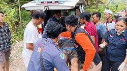 Terpeleset Saat Buang Sampah, Kakek 70 Tahun di Klungkung Jatuh dari Tebing