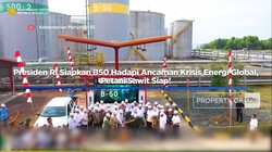 Video: Prabowo Siapkan B50 Hadapi Krisis Energi, Petani Sawit Siap!