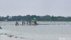 Banjir Demak gegara Tanggul Sungai Tuntang Jebol Tewaskan 1 Orang