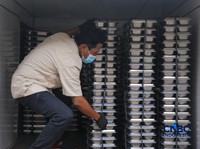 Ilustrasi Makan Bergizi Gratis (MBG). (CNBC Indonesia/Fiasal Rahman)