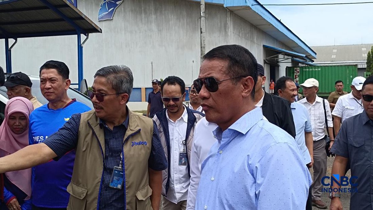 Mentan Klaim RI Sudah Produksi Mobil Etanol dan Ekspor ke Brasil