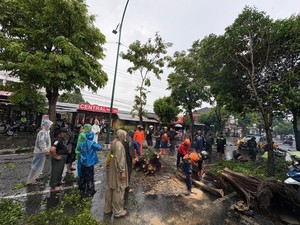 Cuaca Ekstrem Landa DIY, 10 Pohon Tumbang-6 Rumah Rusak