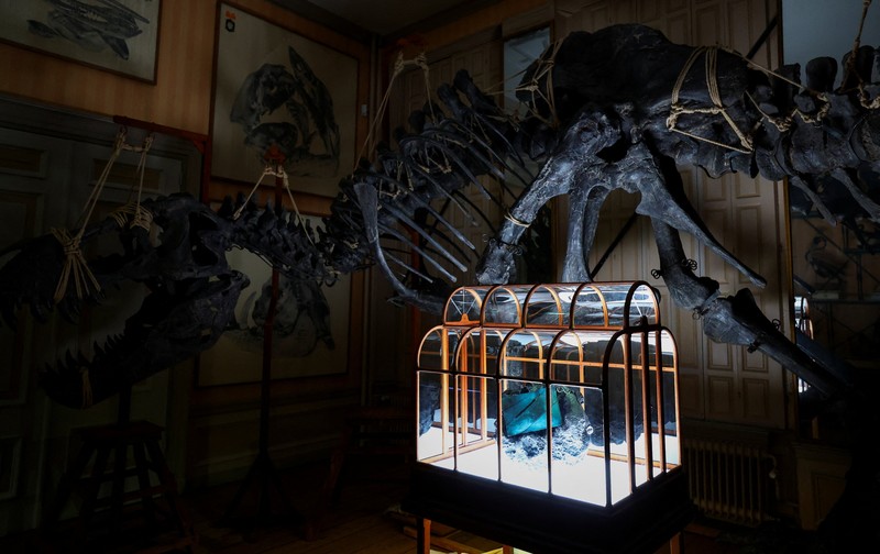 Sebuah tas tangan yang terbuat dari kolagen yang berasal dari fosil T. rex dipamerkan di Museum ArtZoo di Amsterdam, Belanda. (REUTERS/Piroschka van de Wouw)