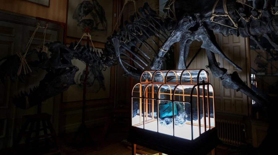 Sebuah tas tangan yang terbuat dari kolagen yang berasal dari fosil T. rex dipamerkan di Museum ArtZoo di Amsterdam, Belanda. (REUTERS/Piroschka van de Wouw)