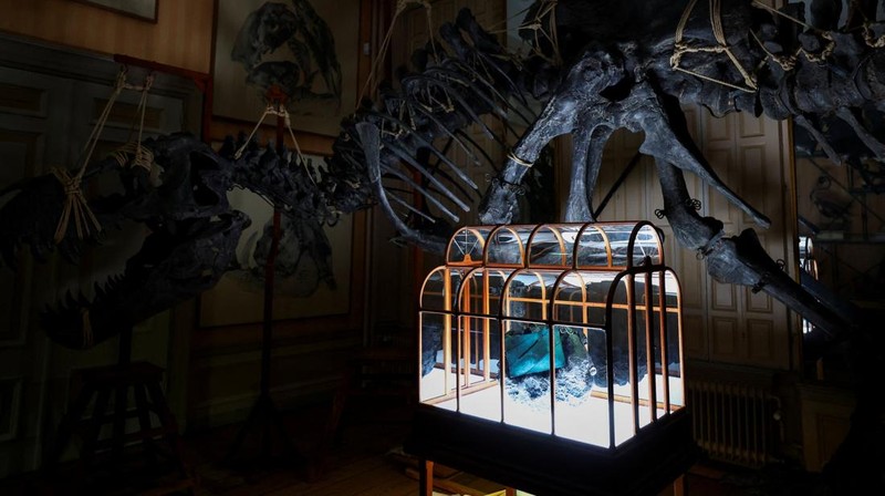 Sebuah tas tangan yang terbuat dari kolagen yang berasal dari fosil T. rex dipamerkan di Museum ArtZoo di Amsterdam, Belanda. (REUTERS/Piroschka van de Wouw)