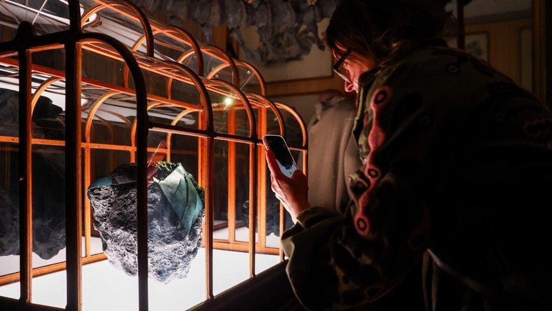 Sebuah tas tangan yang terbuat dari kolagen yang berasal dari fosil T. rex dipamerkan di Museum ArtZoo di Amsterdam, Belanda. (REUTERS/Piroschka van de Wouw)