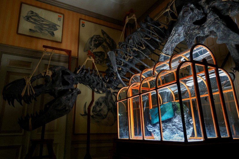 Sebuah tas tangan yang terbuat dari kolagen yang berasal dari fosil T. rex dipamerkan di Museum ArtZoo di Amsterdam, Belanda. (REUTERS/Piroschka van de Wouw)